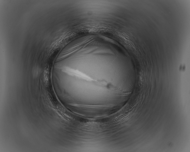 X0000088860691200706291518