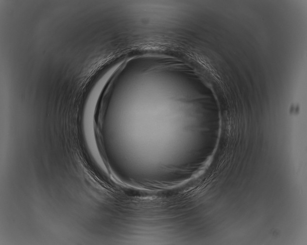 X0000088860692200706291518