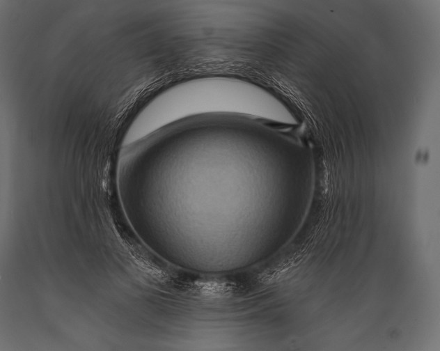 X0000088860693200706291518