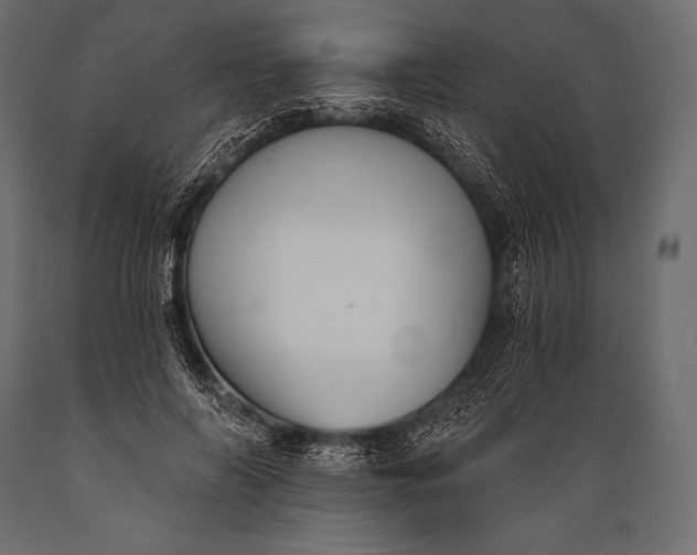 X0000088860694200706291518