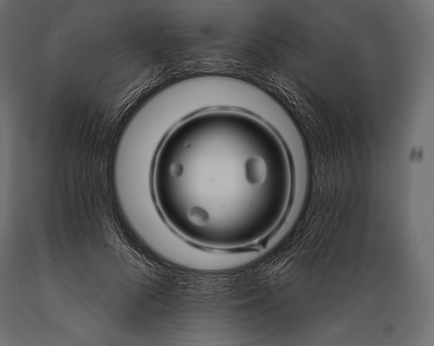 X0000088860696200706291518