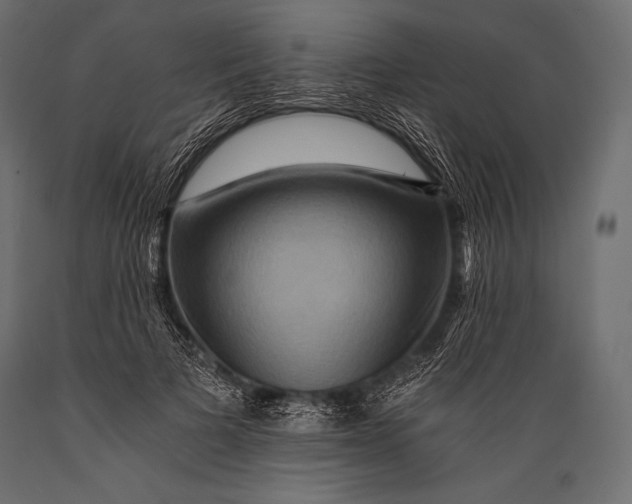 X0000088860697200706291518