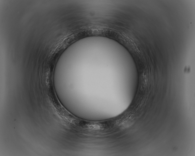 X0000088860698200706291518