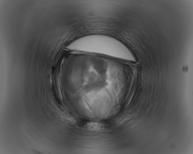 X0000088860699200706291518
