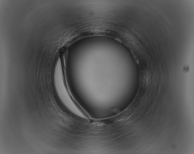 X0000088860700200706291518