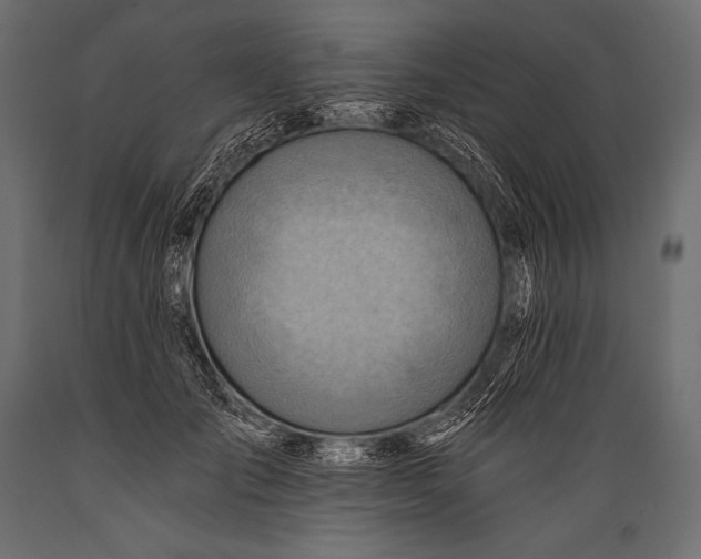 X0000088860701200706291518