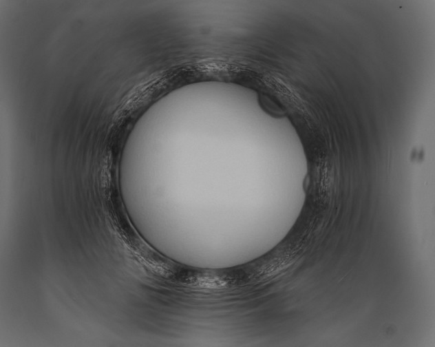 X0000088860702200706291518