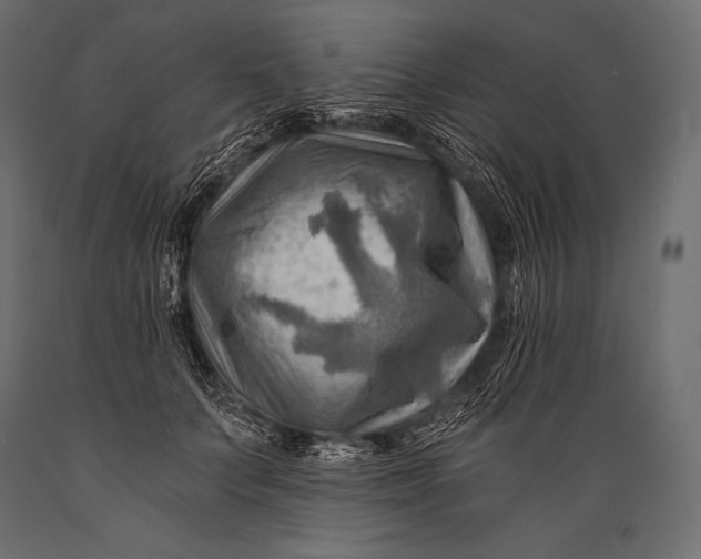 X0000088860703200706291518