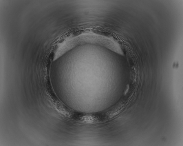 X0000088860704200706291518