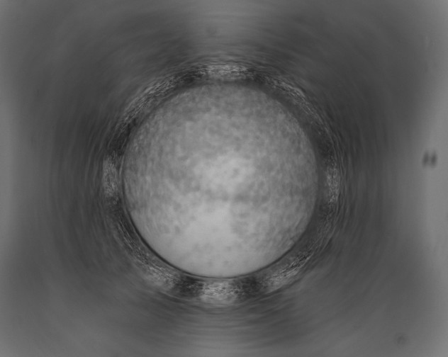 X0000088860705200706291518