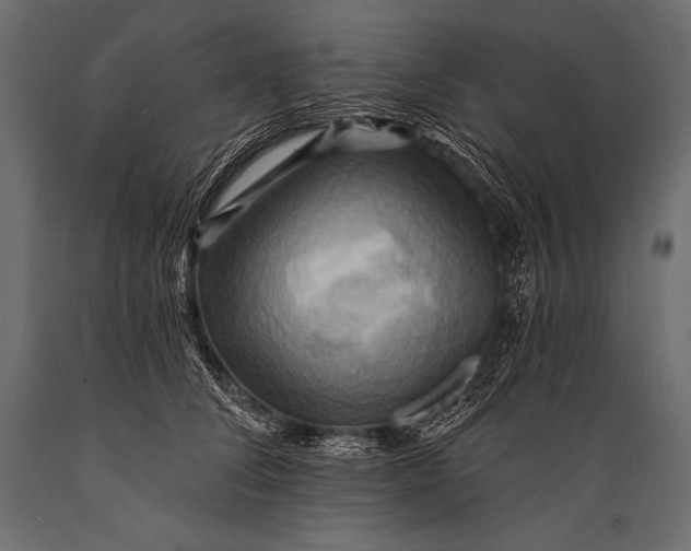X0000088860708200706291518