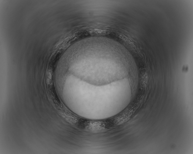 X0000088860709200706291518