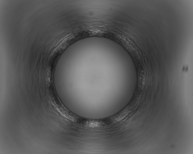 X0000088860710200706291518