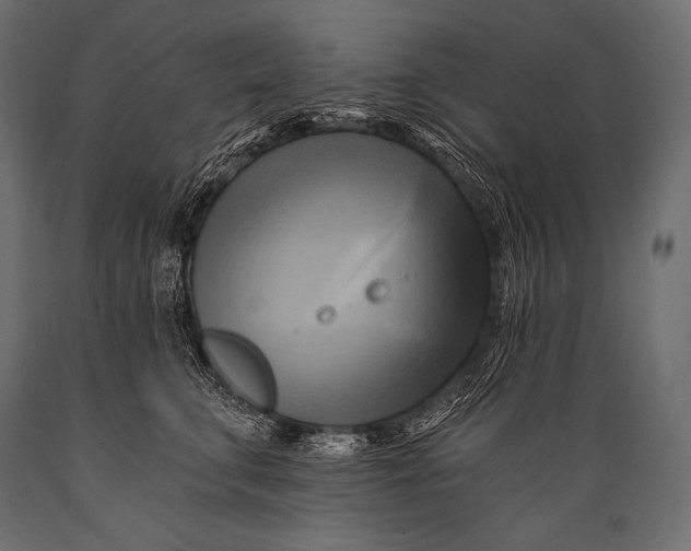 X0000088860711200706291518