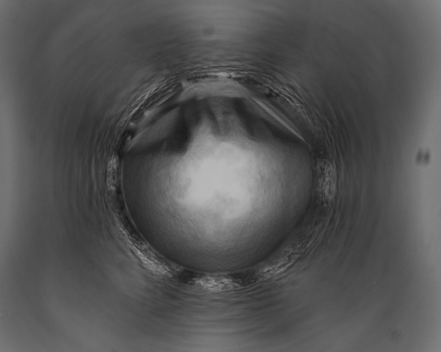 X0000088860712200706291518