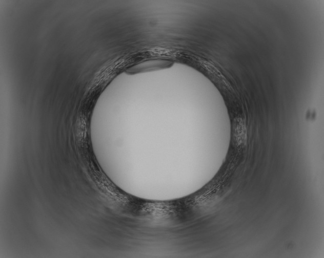 X0000088860713200706291518