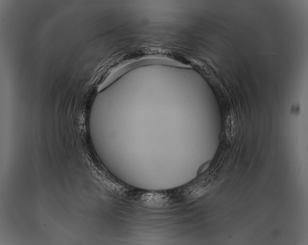 X0000088860714200706291518
