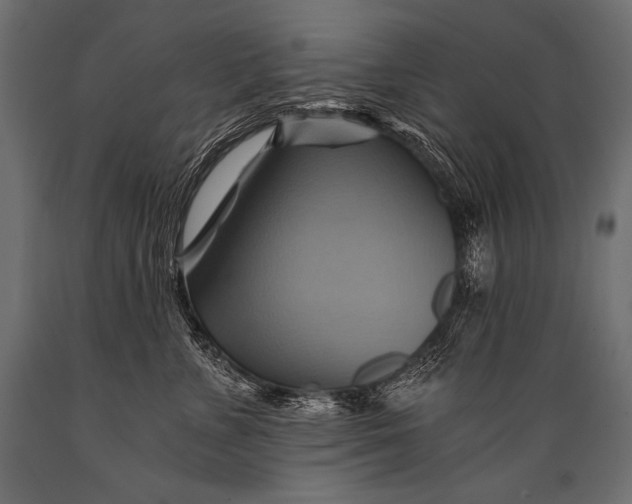 X0000088860715200706291518
