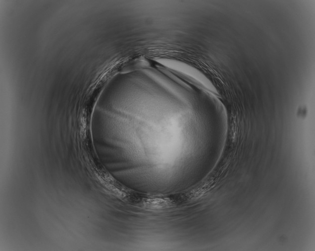 X0000088860716200706291518