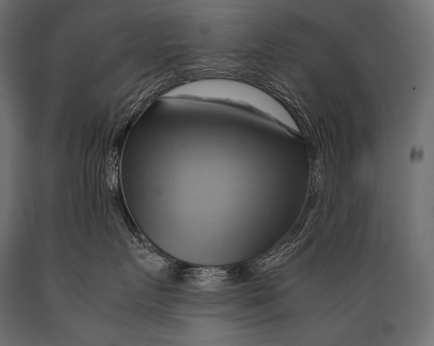 X0000088860719200706291518