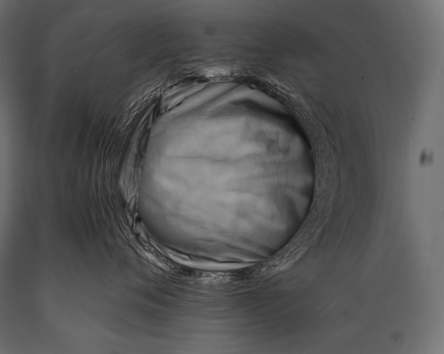 X0000088860720200706291518