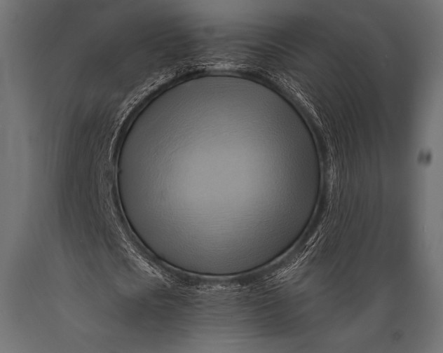 X0000088860721200706291517