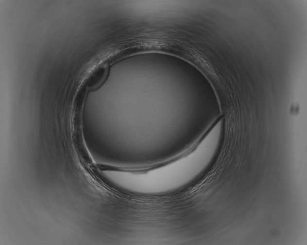 X0000088860722200706291517