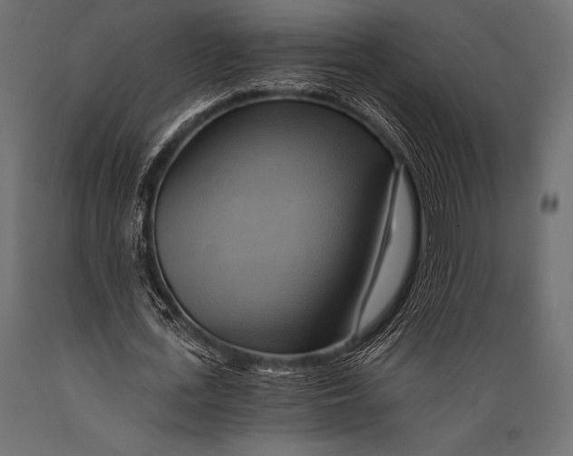 X0000088860723200706291517