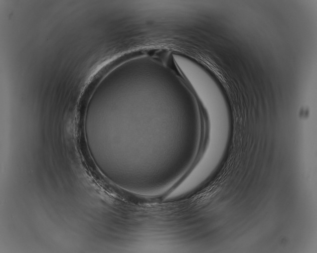X0000088860724200706291517