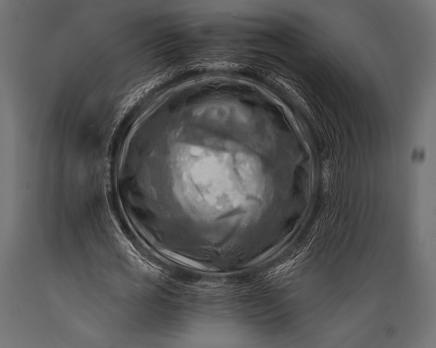X0000088860725200706291517