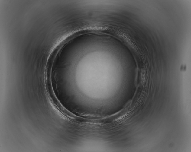 X0000088860726200706291517