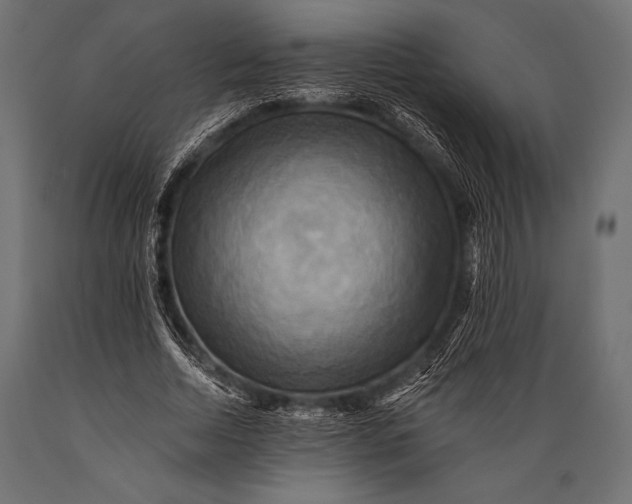 X0000088860730200706291517