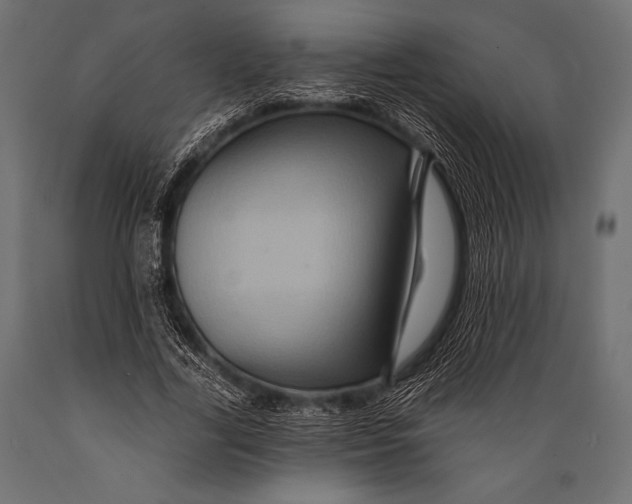 X0000088860731200706291517