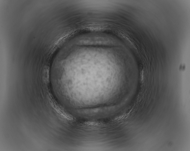 X0000088860733200706291517