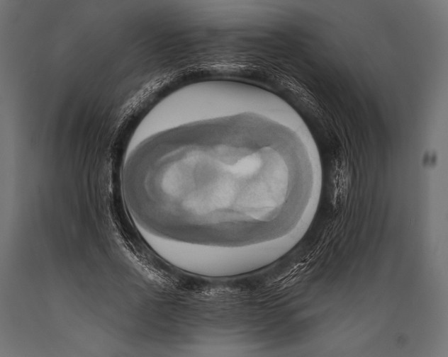 X0000088860734200706291517