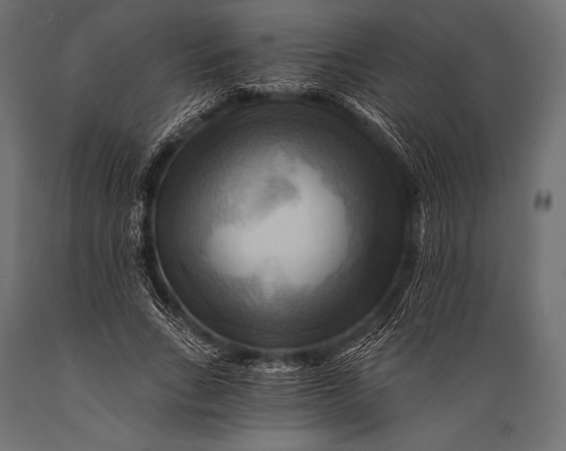 X0000088860735200706291517