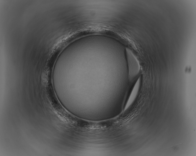 X0000088860736200706291517