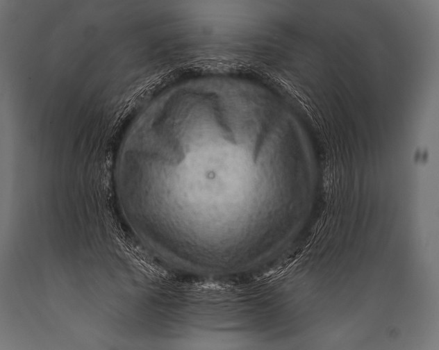 X0000088860737200706291517