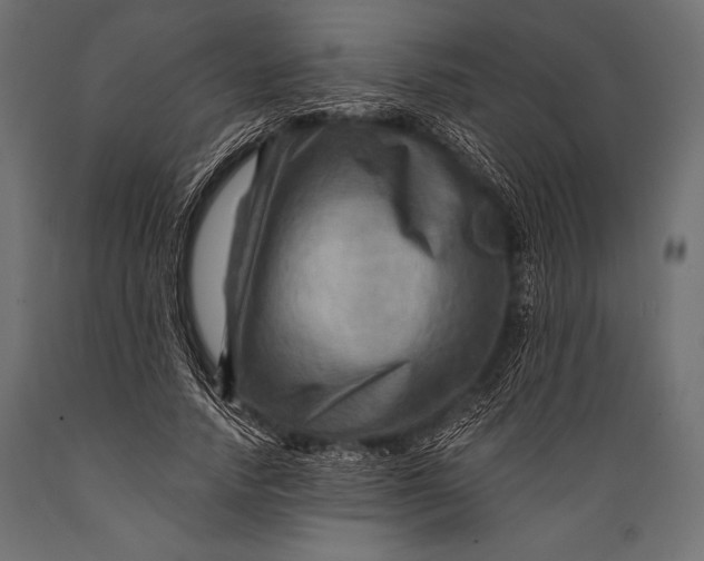 X0000088860738200706291517