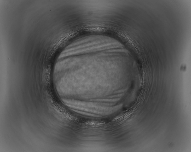 X0000088860739200706291517