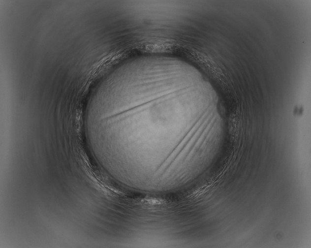X0000088860741200706291517