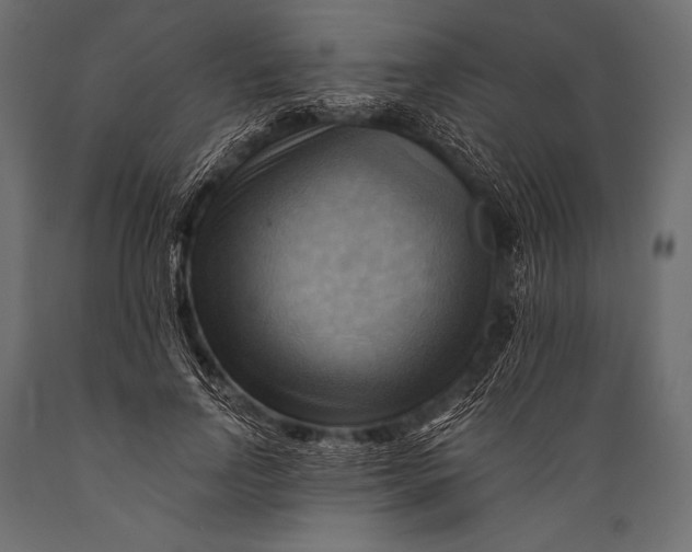 X0000088860742200706291517