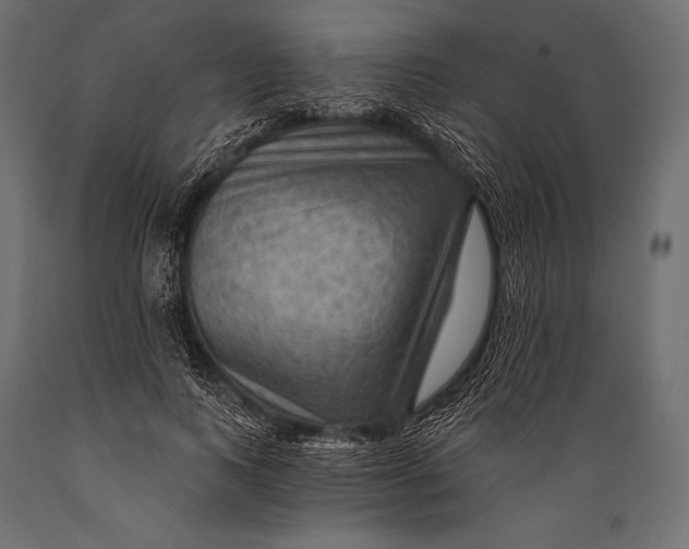 X0000088860743200706291517