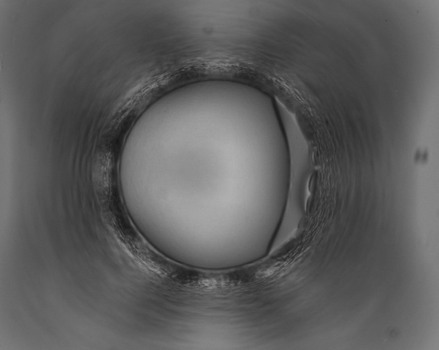 X0000088860744200706291517