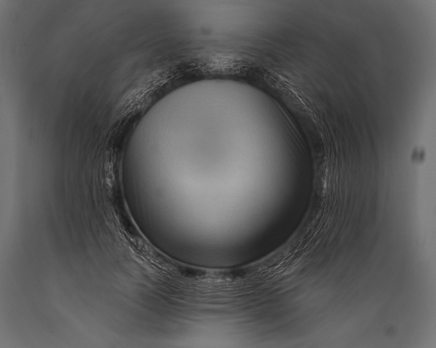 X0000088860746200706291517
