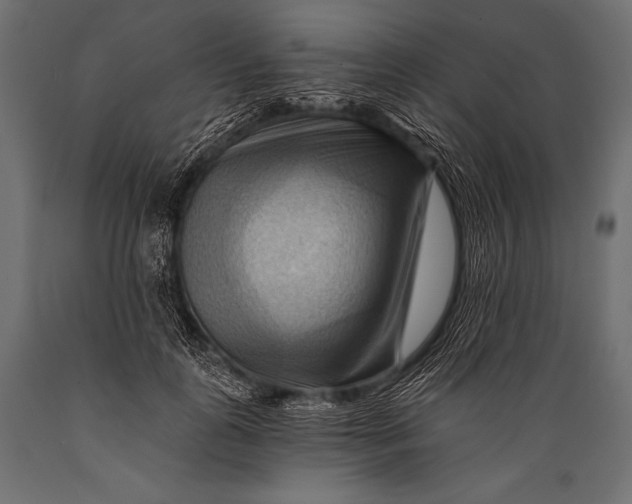 X0000088860747200706291517