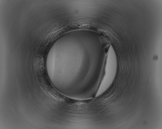 X0000088860748200706291517