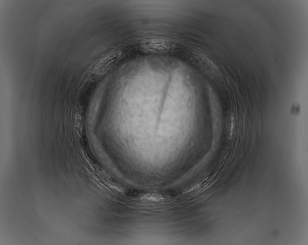X0000088860749200706291517