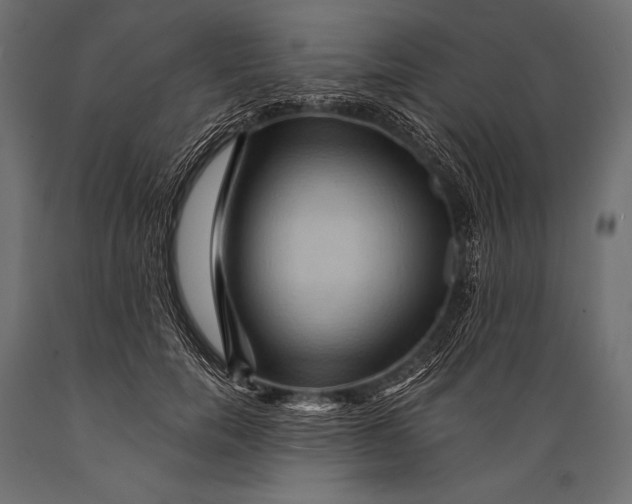 X0000088860750200706291517