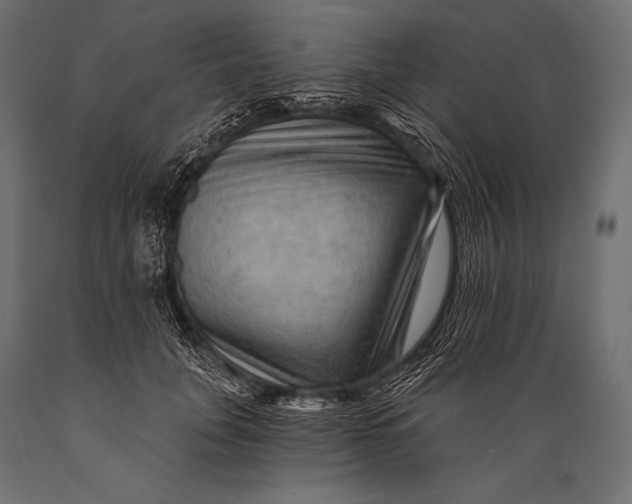 X0000088860751200706291517